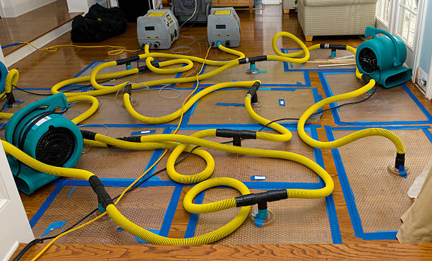 Professional Crawl Space Water Removal technician working in Islandia, NY